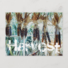 Carte Postale Marché fermier de la saison des récoltes