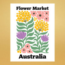 Marché Fleuriste Australie Mimosa Fleur Rose