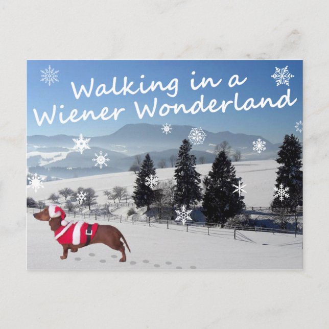 Carte Postale Marcher dans une Wonderland Wiener (Devant)