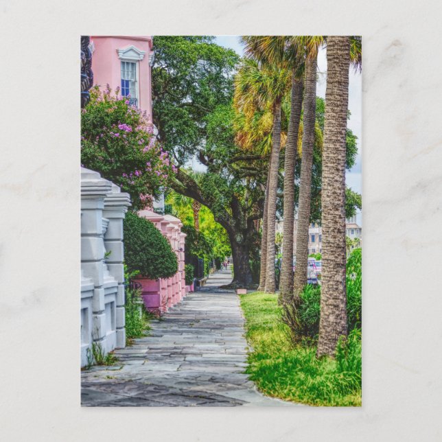 Carte Postale Marcher le long de Rainbow Row (Devant)