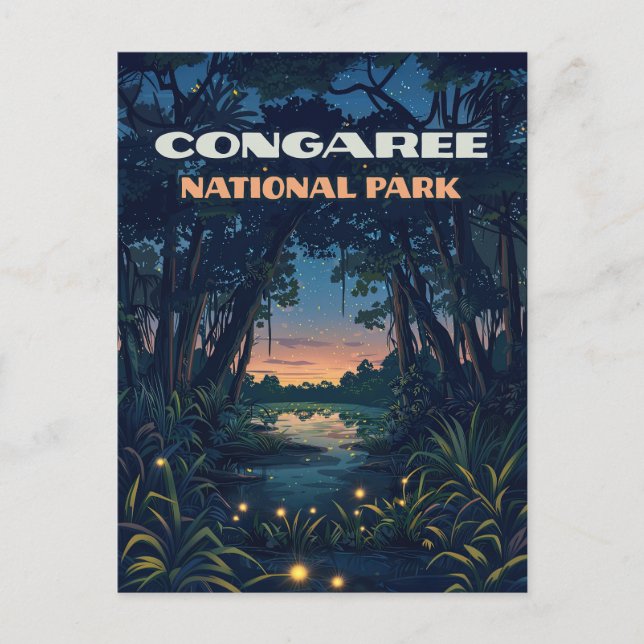 Carte Postale Marécage du parc national de Congaree Caroline du  (Devant)