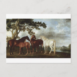 Carte Postale Mares et poulains dans un paysage fluvial George S