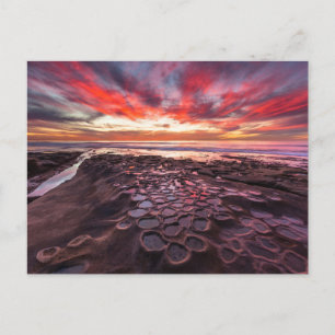 Carte Postale Mares résiduelles à La Jolla, Californie
