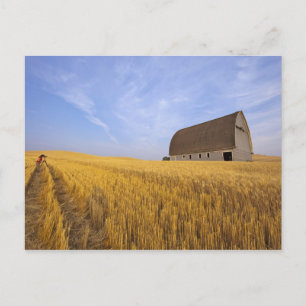 Carte Postale Margaret Horton à la photographie Palouse 2009