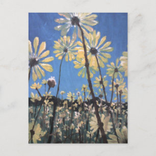 Carte Postale marguerite