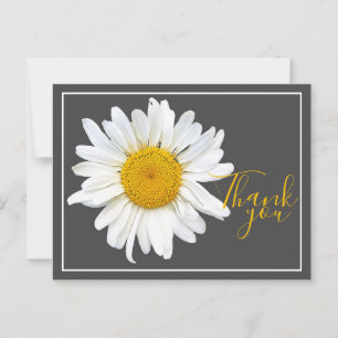 Carte Postale Marguerite Blanche Centre Jaune Fond Gris Merci
