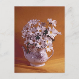 Carte Postale Marguerites Dans La PostCard Teapot