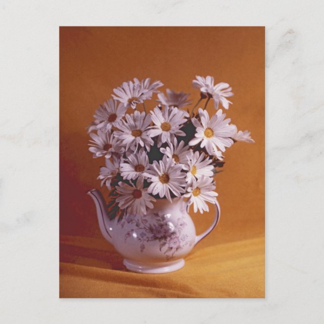 Carte Postale Marguerites Dans La PostCard Teapot (Devant)