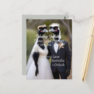 Carte Postale Mariage australien australien Emus, Mariage