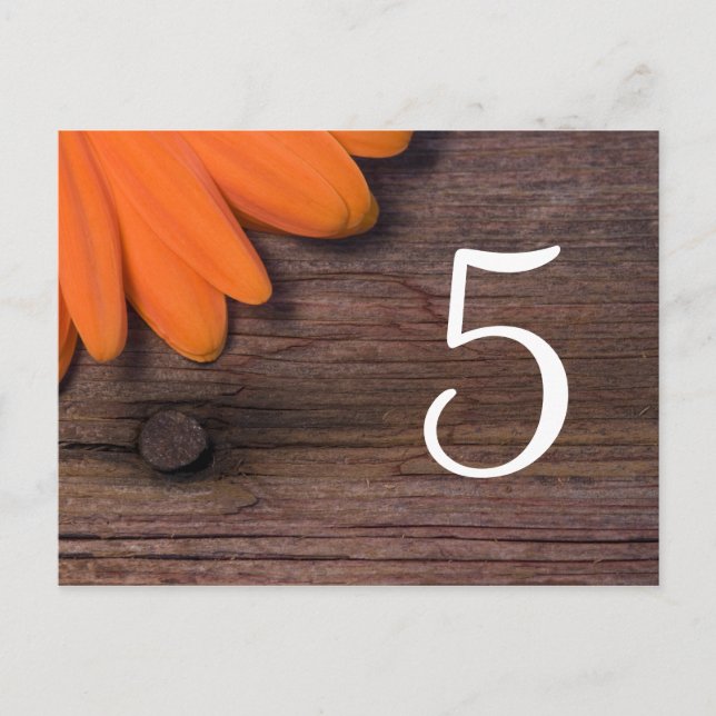 Carte Postale Mariage campagnard de marguerite orange rustique N (Devant)