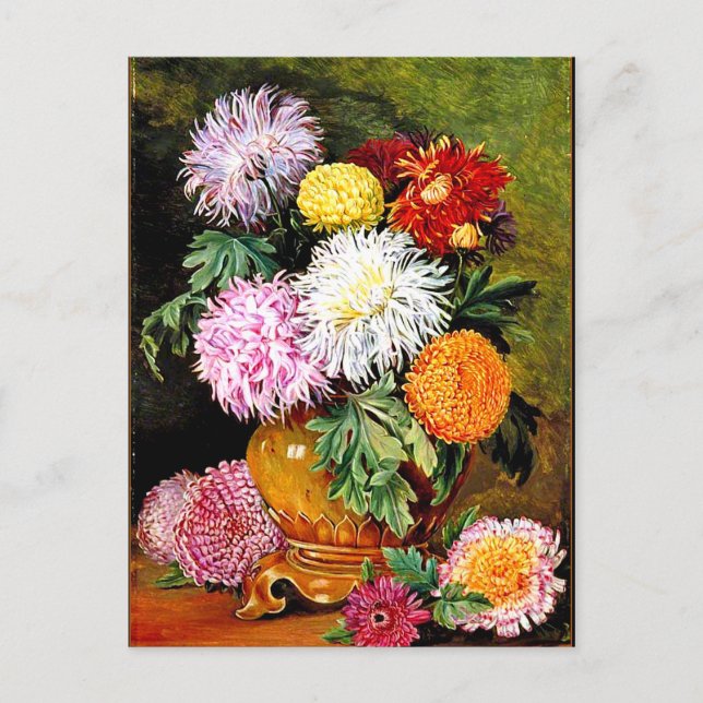 Carte Postale Marianne Nord - Chrysanthèmes japonais (Devant)