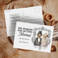 Mariée de chien et de chambre Mariage amusant Enre