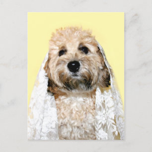 Carte Postale Mariée ou femme de ménage
