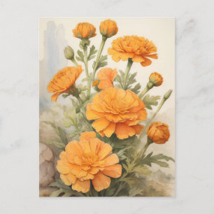 Carte Postale Marigold