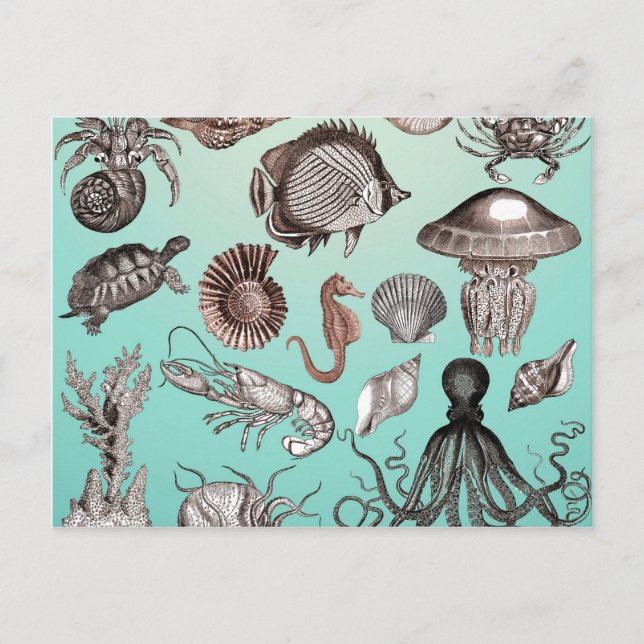 Carte Postale Marine (Devant)