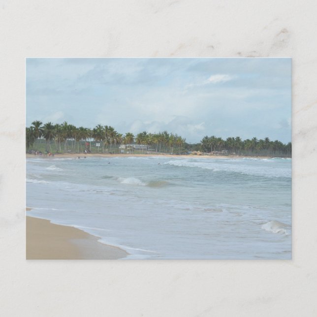 CARTE POSTALE MARINE CARRIBÉENNE 20 (Devant)