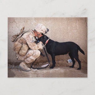 Carte Postale Marine et son chien