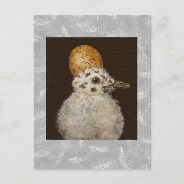 Carte postale Marley the baby seagull (Devant)