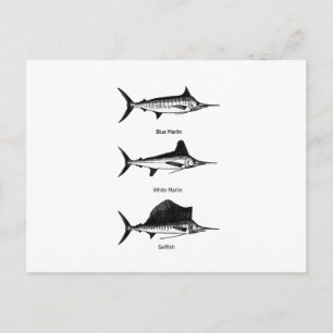 Carte Postale Marlin Blanc - Marlin Bleu - Logo de Sailfish