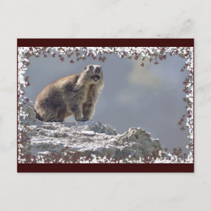 Carte Postale Marmotte alpine dans cadre feuille