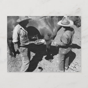 Carte Postale Marquage des chevaux avec la marque de fourche