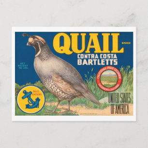 Carte Postale Marque Quail Contra Costa Bartletts Vintage Crate 