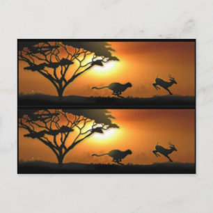 Carte Postale Marqueurs de livres Cheetah et Gazelle