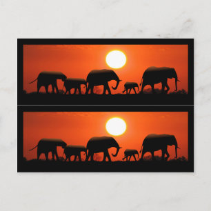 Carte Postale Marqueurs de livres de famille Elephant