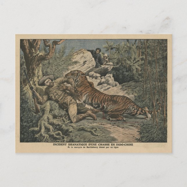 Carte Postale Marquis de Barthélemy blessé par un tigre (Devant)