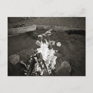 Carte Postale Marshmallows au-dessus d'un feu