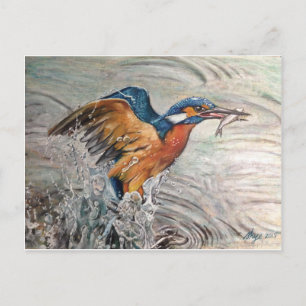 Carte Postale Martin-pêcheur