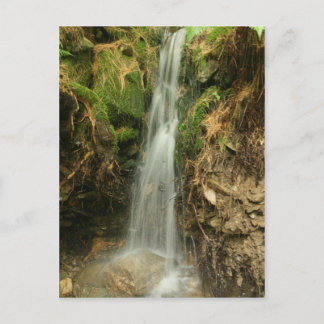 Carte Postale Martin's Brook Road