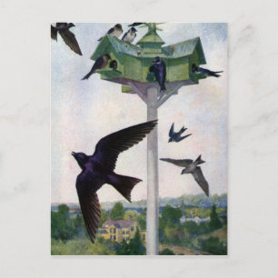 Carte Postale Martins pourpres et leur maison d'oiseaux