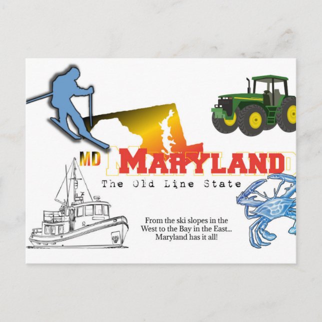Carte Postale Maryland - l'État de la vieille ligne (Devant)