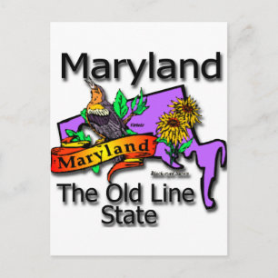 Carte Postale Maryland The Old State Line Bird