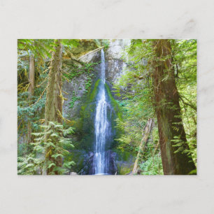 Carte Postale Marymere Falls I au parc national Olympique
