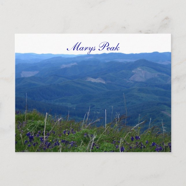 Carte Postale Marys Peak (Devant)