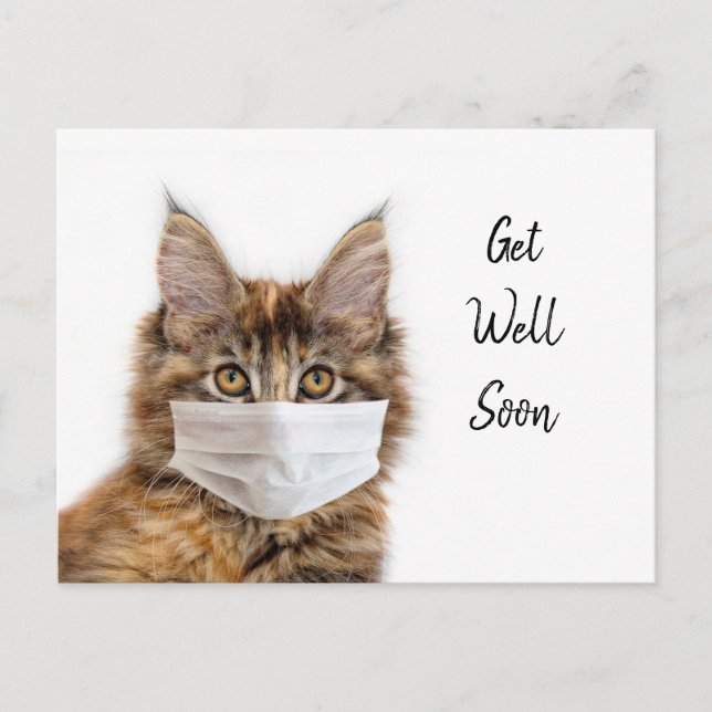 Carte Postale Masque sur chat Maine Coon guérissez (Devant)