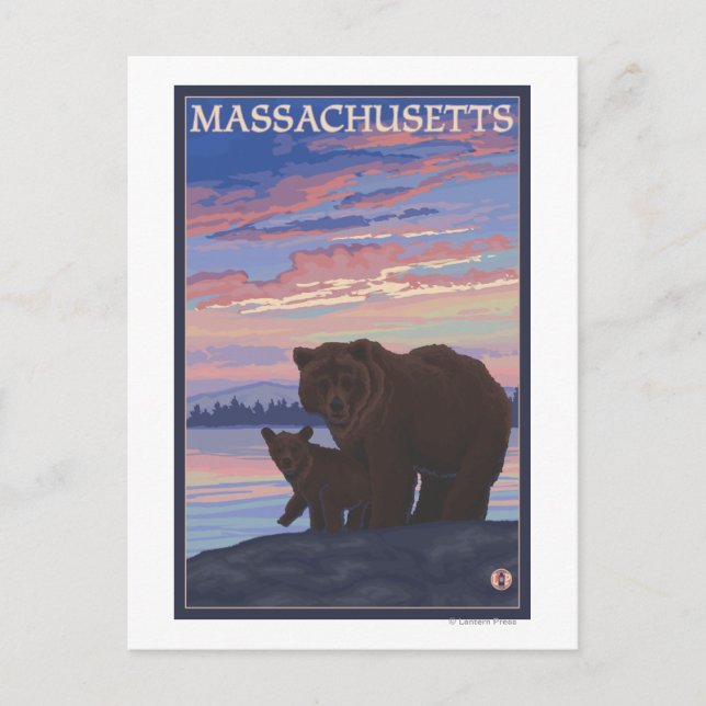 Carte Postale MassachusettsOurs et petits (Devant)