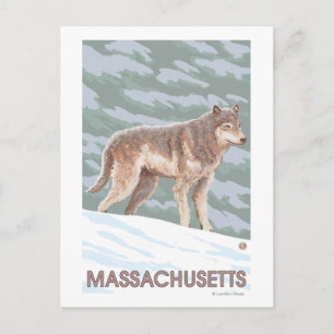 Carte Postale MassachusettsScène Wolf