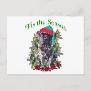 Carte Postale Mastiff 3 "Tis