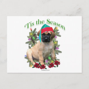 Carte Postale Mastiff Tis