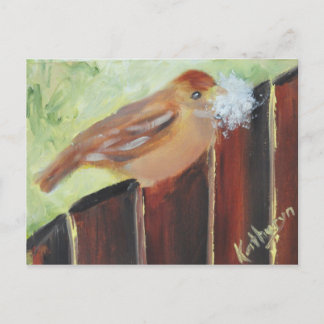 Carte Postale Matériaux de nid