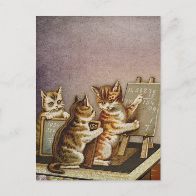 Carte Postale Maths du chat (Devant)