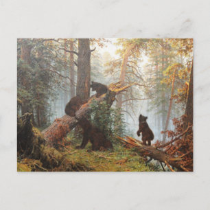 Carte Postale Matin dans une pinède