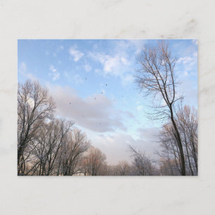 Carte Postale Matin d'hiver I