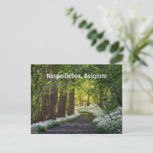 Carte Postale Matin du printemps à Raspaillebos, Belgique
