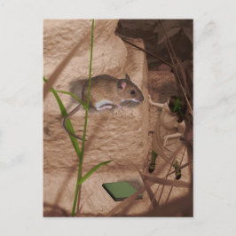 Carte Postale Matin Mlle Mouse..