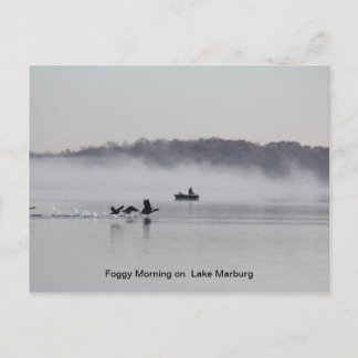 Carte Postale matinée brumeuse sur le lac