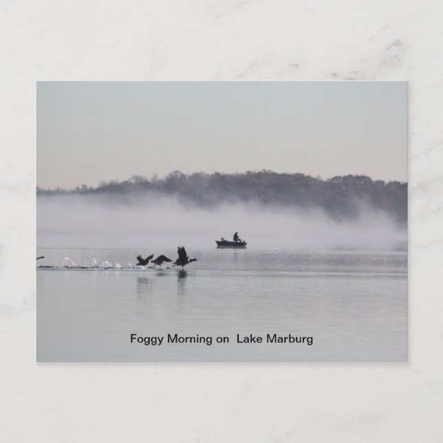 Carte Postale matinée brumeuse sur le lac (Devant)